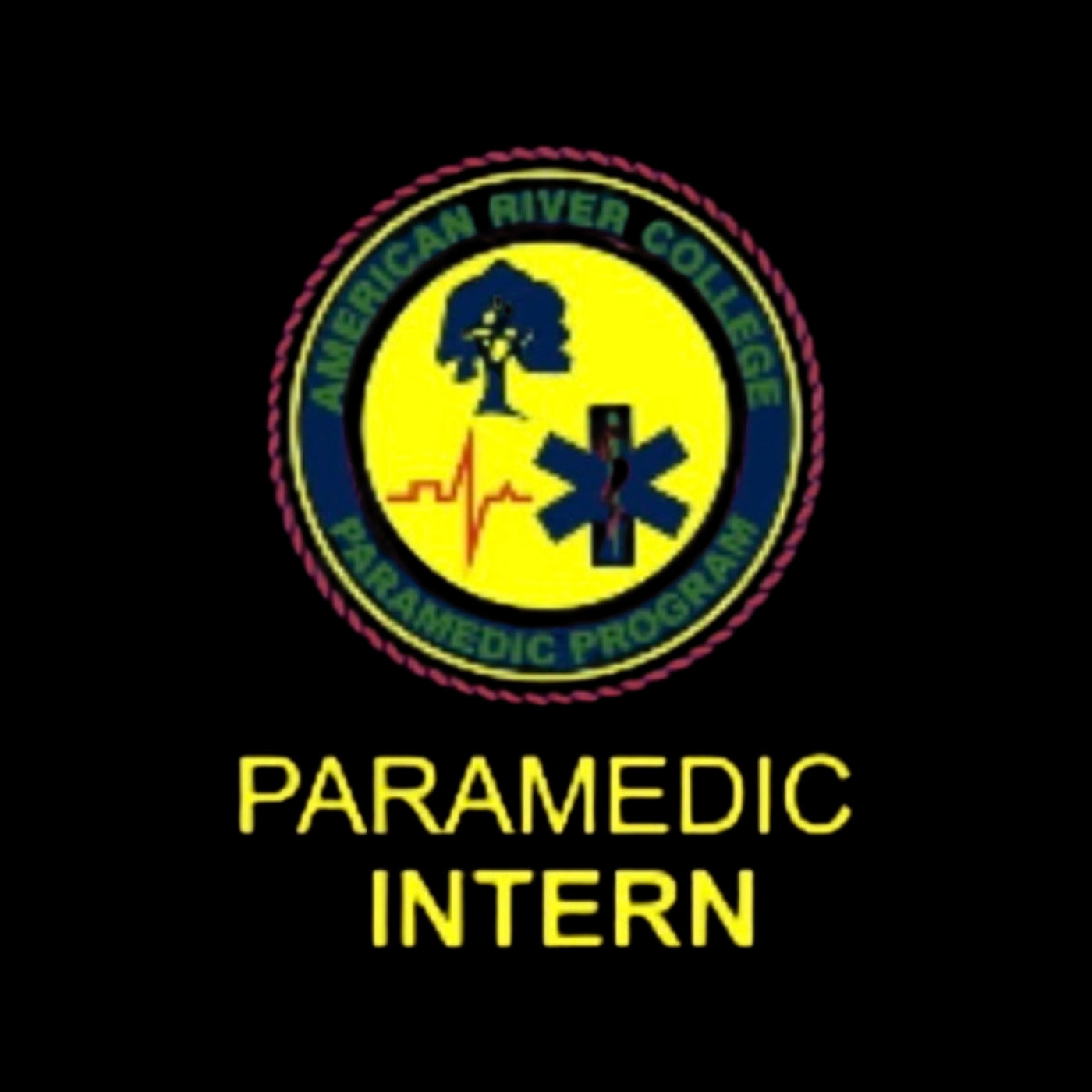 Paramedic Intern